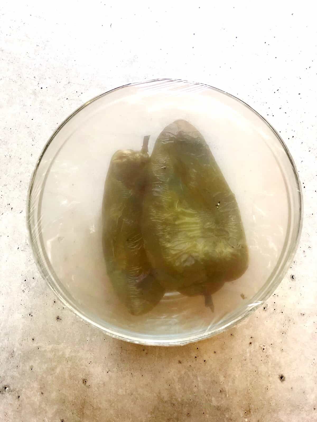 poblano pepper