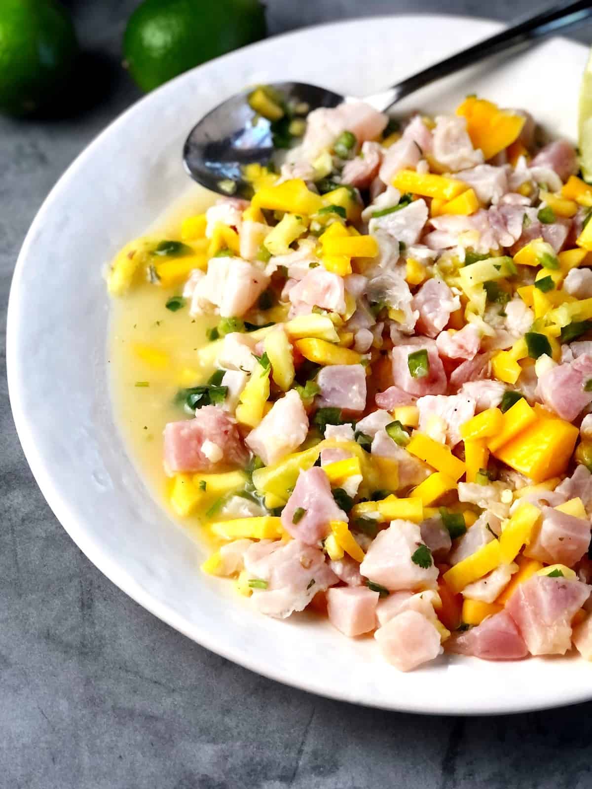 closeup of ahi tuna ceviche