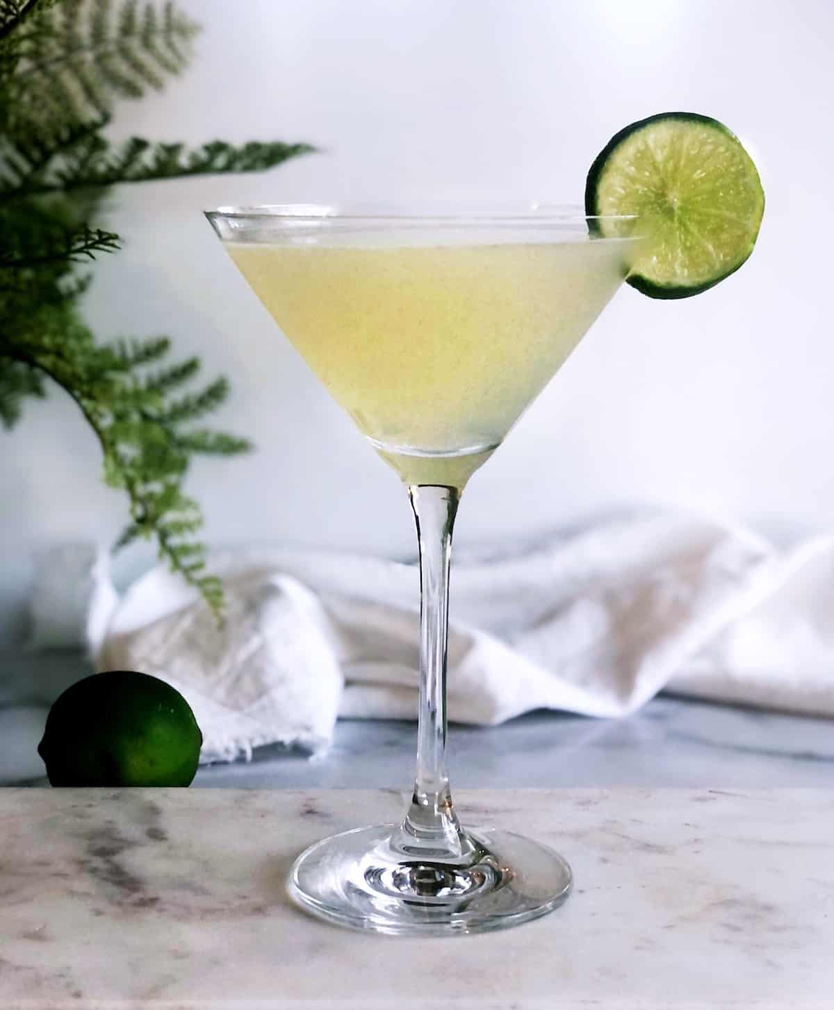 gin gimlet in martini glass on the table